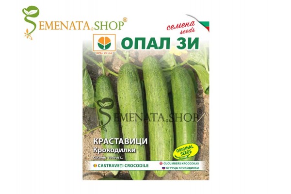 Семена на краставици Крокодилки - интересен сорт с приятен вкус